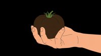 Illustrated hand holding a dark brown tomato with green stem, isolated on transparent background. Ready for clipart, t-shirt design, print-on-demand products, stickers, and sublimation projects.