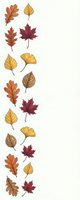 Autumn leaves collection with oak maple ginkgo foliage in warm colors isolated on white background for seasonal design projects and fall decorations.