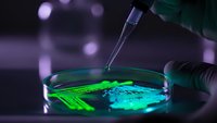Laboratory scientist using pipette to drop green fluorescent solution into petri dish for medical research and biotechnology experiments in modern lab.