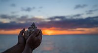 Hands holding seashell against dramatic sunset sky over calm ocean water with colorful clouds reflecting on sea surface during golden hour twilight.
