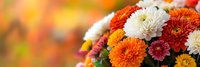 Vibrant autumn chrysanthemum bouquet with orange, red, yellow and white blooms against warm fall foliage background for seasonal decorating and celebrations.