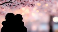 Romantic silhouette of couple embracing under blooming cherry blossom branches at sunset with soft pink bokeh lights creating dreamy atmosphere.