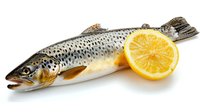 Fresh raw brown trout fish with lemon slice on white background, ready for cooking seafood preparation.