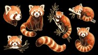 Red pandas in various playful poses isolated on transparent background, ready for t-shirt designs, stickers, clipart, sublimation, and print-on-demand products.