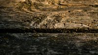 Weathered wooden surface with deep grain patterns and natural texture showing age and character for rustic design projects and backgrounds.