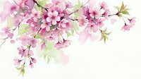 Delicate pink cherry blossom branch with soft watercolor petals and green leaves on white background for spring designs and romantic decorations.