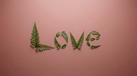 Word love spelled with green fern leaves on pink background. Natural typography concept for romantic greeting cards and botanical design projects.