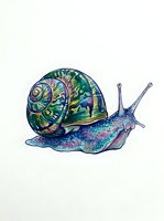 Colorful snail with iridescent shell and patterned body isolated on white background, ready for design projects, merchandise, and creative applications.