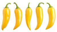 Yellow hot chili peppers in row isolated on white background. Fresh ripe capsicum vegetables with green stems showing natural organic produce.