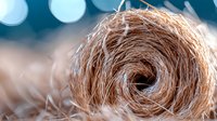 Macro shot of dry spiral grass nest or bird nest material with soft bokeh background in blue tones, natural organic texture and pattern in nature.