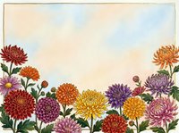 Colorful chrysanthemum flowers border frame with watercolor texture background for autumn seasonal designs and floral decorations.
