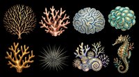Colorful ocean reef elements set with corals, sea urchin, snail, and seahorse, isolated on transparent background, ready for stickers, clipart, and print on demand.