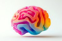 Colorful gradient brain model with vibrant rainbow hues from pink to blue, representing creativity, intelligence and mental health concepts for medical education.