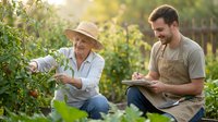 Senior Caucasian woman in straw hat and young Caucasian man with tablet working together in vegetable garden during golden hour sunset light.