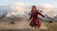 Young Asian woman in traditional burgundy dress dancing joyfully in mountain steppe landscape with yaks grazing under dramatic sunset sky.