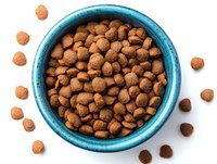 Dry brown pet food kibbles in bright turquoise ceramic bowl on white background, overhead view. Several scattered pieces around create natural composition.