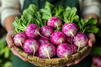 Fresh purple and white turnips with green tops in woven basket held of organic farm vegetables showing vibrant natural colors and textures.