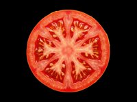 Fresh tomato slice isolated on transparent background, ready for culinary design, recipe graphics, food packaging, print-on-demand products, t-shirt designs, and digital food illustrations.