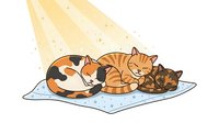 Cute cats sleeping together on soft blanket under warm sunlight rays. Isolated clipart artwork suitable for children's designs, greeting cards, and apparel printing.