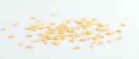 Scattered corn kernels isolated on white background, ready for food, agriculture, and cooking design projects.