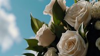 Elegant cream roses with dark green leaves against soft blue sky background, creating romantic wedding and celebration atmosphere. Selective focus enhances dreamy mood.