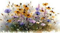 Watercolor wildflower meadow with orange daisies, purple cornflowers and delicate grasses on white background for botanical art and nature designs.