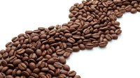 Roasted coffee beans scattered in flowing pattern on white background, isolated for cafe branding, packaging design and culinary projects.