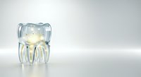 Transparent glass tooth model with illuminated interior showing dental anatomy structure, isolated on white background for dental education, healthcare presentations, and dentistry design projects.