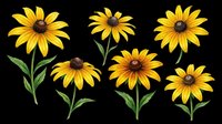 Bright yellow sunflowers with dark centers and green stems isolated on transparent background. Ready for t-shirt designs, clipart, stickers, sublimation, print-on-demand products and digital crafts.
