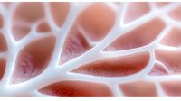 Microscopic view of organic cell structure in pink and white tones showing intricate membrane patterns and biological tissue formations at macro scale.
