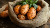 Fresh organic potatoes in rustic burlap sack with green basil leaves, natural farm produce on dark wooden background, food photography for cooking blogs.
