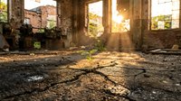 Young green plant growing through cracked concrete floor of abandoned industrial building, sunlight streaming through broken windows, symbolizing hope and resilience.