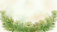 Queen Anne's lace wildflowers with delicate green foliage arranged in decorative border frame on isolated white background, ready for design projects.