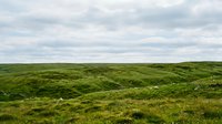 Rolling green hills with lush grass and cloudy sky, suitable for landscape, nature, and environmental design projects.