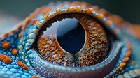 Extreme close-up of reptile eye with vibrant orange and blue scales, detailed iris texture and dark pupil. Macro photography showcasing natural patterns.