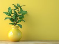 Green plant in round yellow ceramic vase against yellow wall on wooden surface. Modern minimal home decor composition with copy space for text.
