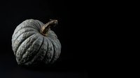 Aged gray pumpkin with textured ridged surface and dried stem isolated on black background, suitable for autumn harvest designs and seasonal marketing materials.