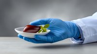 Medical professional in blue glove holding white dish with liver sample and fresh herb against blurred gray background for healthcare research.