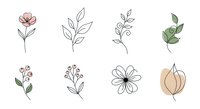 Isolated botanical line art and watercolor plant elements on transparent background, suitable for graphic design, web design, invitations, and merchandise applications.