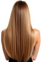 Long straight honey blonde hair from behind showing healthy shiny hairstyle on white background. Professional salon result demonstrates smooth silky texture and haircare.