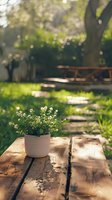White flowering plant in ceramic pot on rustic wooden picnic table in sunlit garden with bokeh effect and natural morning light creating peaceful outdoor atmosphere.