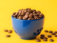 Fresh roasted coffee beans in bright blue ceramic bowl against vibrant yellow background, scattered beans create dynamic composition for food and beverage marketing.