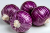 Fresh purple onion bulbs with white stems on light background, macro photography showing vibrant color and texture detail for cooking and food concepts.