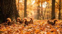 Three red squirrels forage among golden fallen leaves beside a large tree trunk in a sunlit autumn forest, capturing wildlife and seasonal nature.