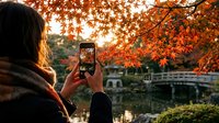 Woman with dark hair and medium skin tone photographing autumn foliage and bridge landscape with smartphone during golden hour fall season.