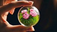 Hands protecting glass sphere containing pink peonies and green grass symbolizing nature conservation and environmental protection concept.