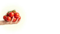 Fresh red cherry tomatoes held in cupped hands against clean white background, organic produce concept for healthy eating and cooking applications.