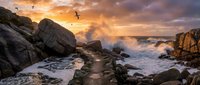 Dramatic ocean waves crashing against rugged coastal rocks during golden sunset with seagulls flying overhead creating spectacular seascape scenery.