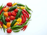 Assorted fresh chili peppers and bell peppers isolated on white background, including red, yellow, orange and green varieties for culinary and food styling projects.