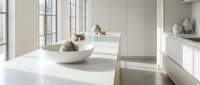Fluffy gray and white cat sitting inside a large white bowl on a marble kitchen counter in a bright minimalist modern interior.